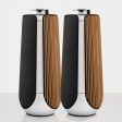 Bang & Olufsen Beolab 50 Wireless Speakers Fashion