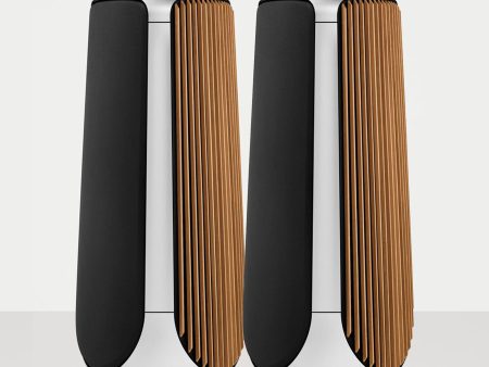 Bang & Olufsen Beolab 50 Wireless Speakers Fashion