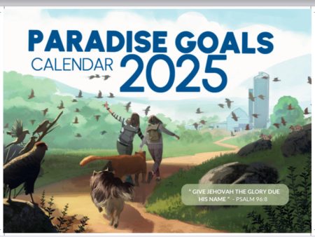 2025 PARADISE GOALS CALENDAR on Sale