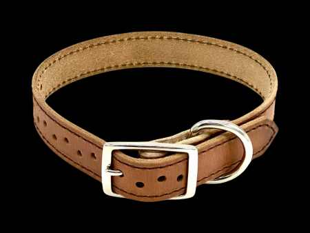 Treated Dog Collar Supply