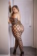 818JT270Q-FISHNET BODYSTOCKING (QUEEN) For Sale