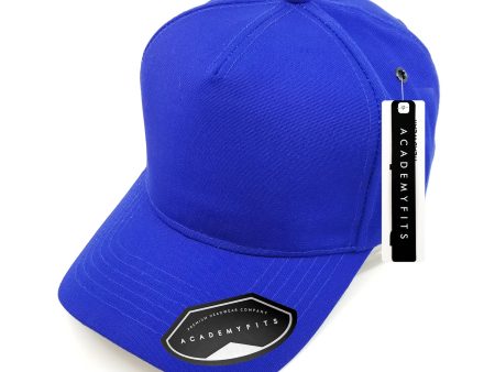 AF-2025B-Canvas Baseball Cap Fashion