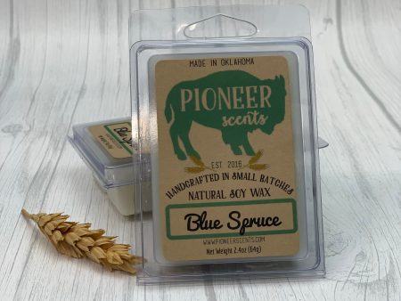 Blue Spruce Soy Wax Melt Hot on Sale